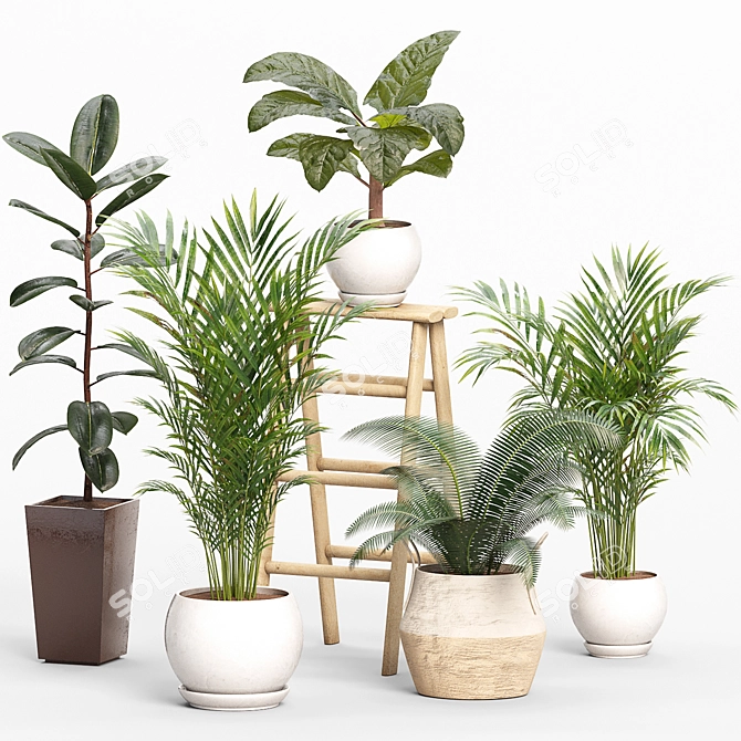 Green Oasis Indoor Plants Set 3D model image 1