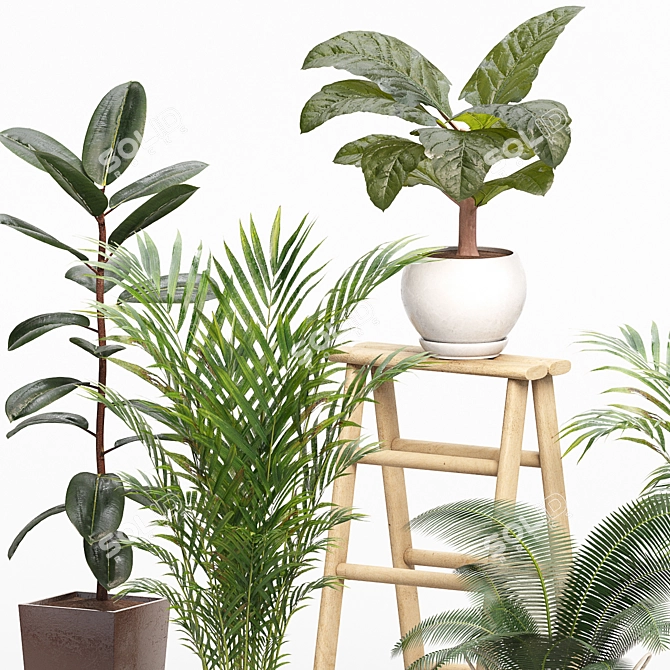 Green Oasis Indoor Plants Set 3D model image 2