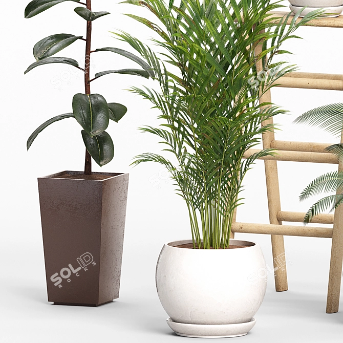 Green Oasis Indoor Plants Set 3D model image 3