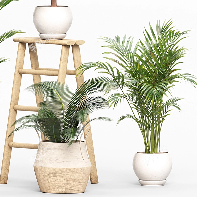 Green Oasis Indoor Plants Set 3D model image 4