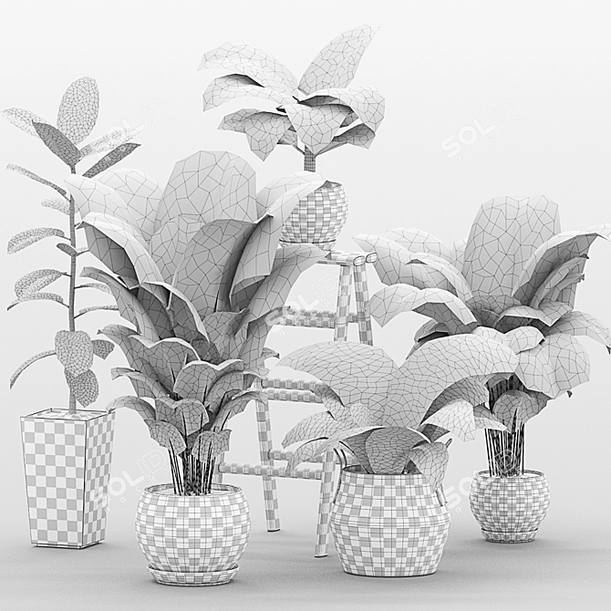 Green Oasis Indoor Plants Set 3D model image 5