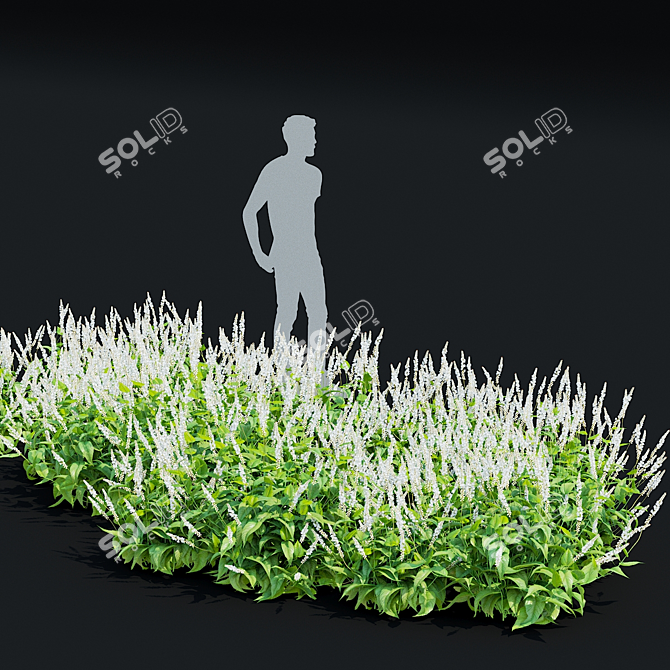 White Bistort 3D Model Kit 3D model image 6