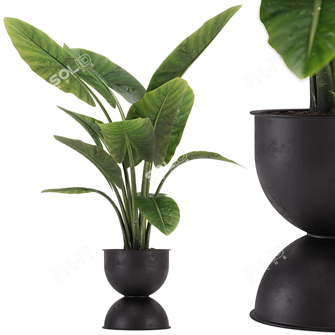 Exquisite Indoor Plant Set 36 3D model image 1