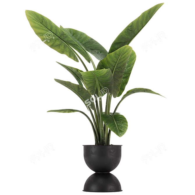 Exquisite Indoor Plant Set 36 3D model image 2