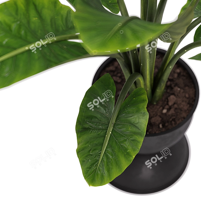 Exquisite Indoor Plant Set 36 3D model image 3