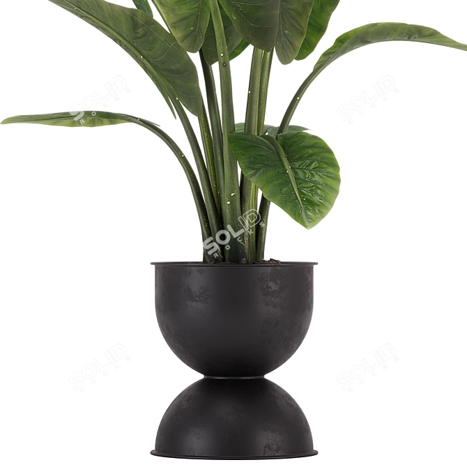 Exquisite Indoor Plant Set 36 3D model image 4