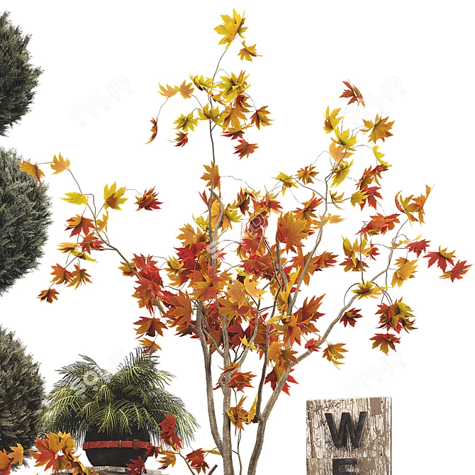 Halloween Outdoor Plant Collection 14 3D model image 6