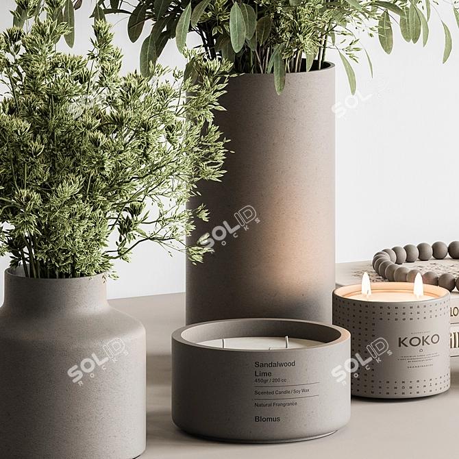 Potted Plant & Vase Duo 3D model image 2