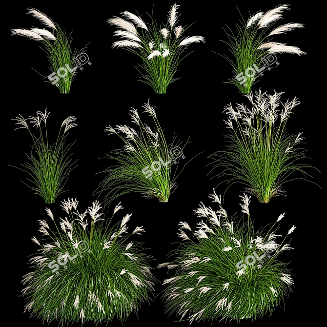 Decorative Grass Collection for Landscaping 3D model image 1