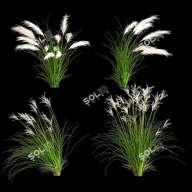 Decorative Grass Collection for Landscaping 3D model image 2