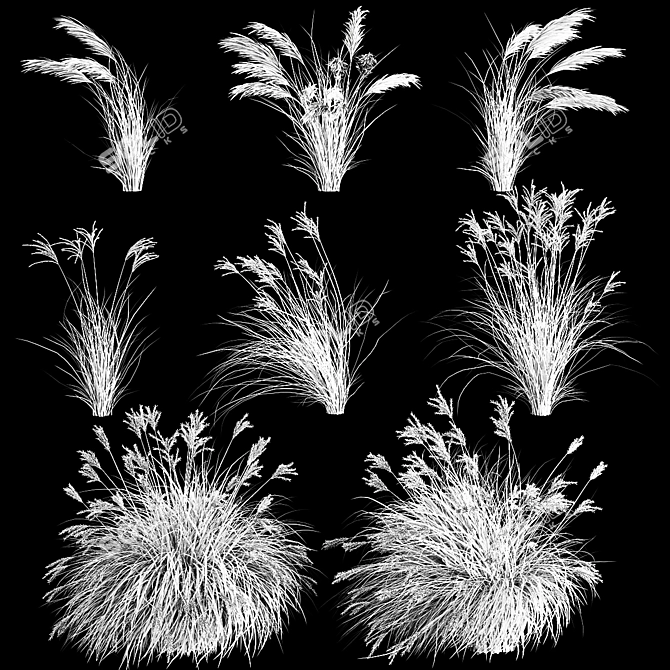 Decorative Grass Collection for Landscaping 3D model image 6