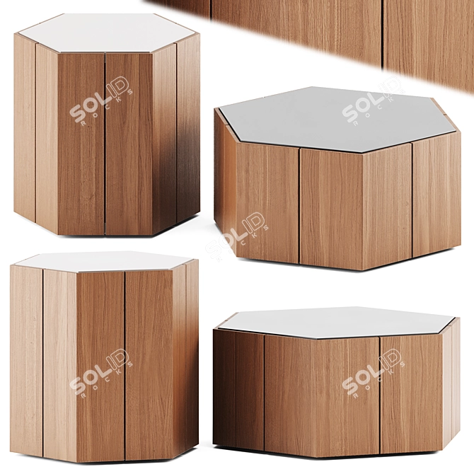 Tribu Hexagon Coffee Table Pair 3D model image 1