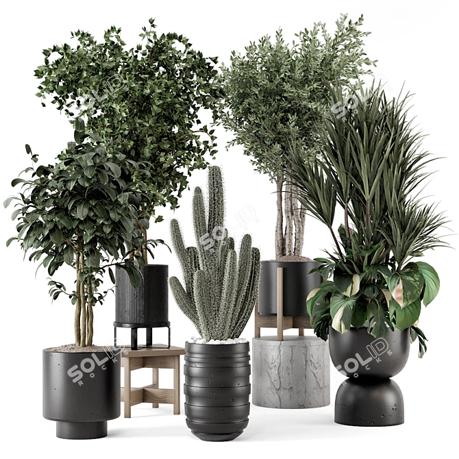  Indoor Plants Ferm Living Bau Pot 3D model image 1