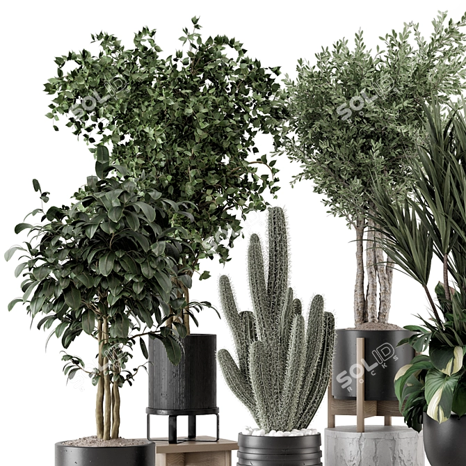  Indoor Plants Ferm Living Bau Pot 3D model image 2