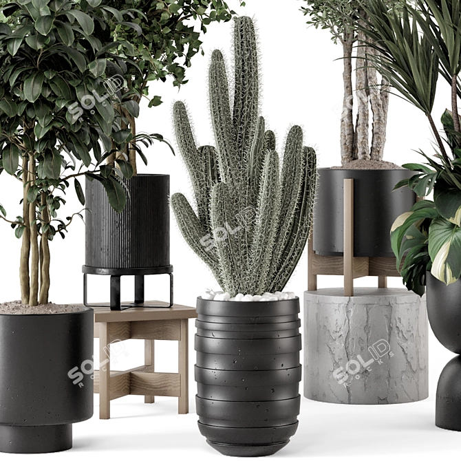  Indoor Plants Ferm Living Bau Pot 3D model image 3