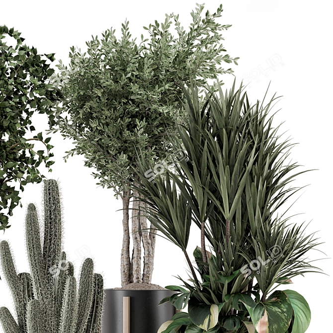  Indoor Plants Ferm Living Bau Pot 3D model image 4