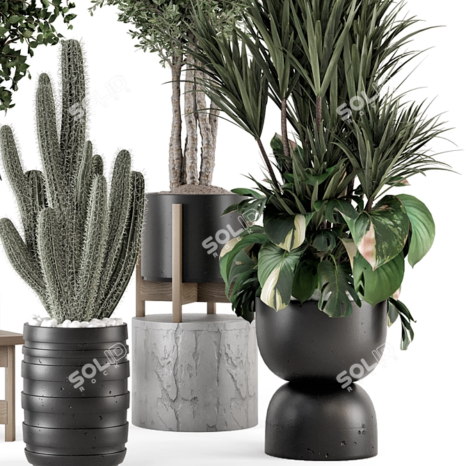  Indoor Plants Ferm Living Bau Pot 3D model image 5