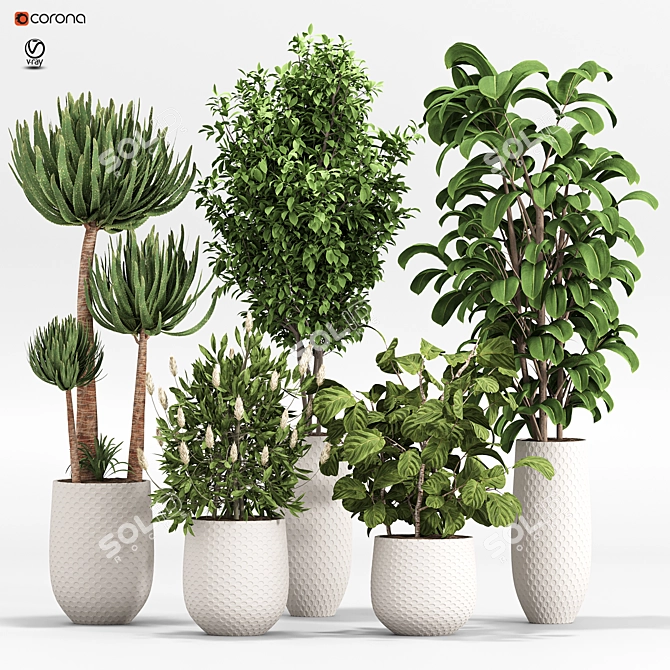 2015 Indoor Plant Set 010 3D model image 1