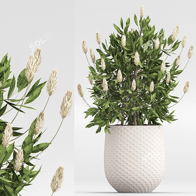 2015 Indoor Plant Set 010 3D model image 2