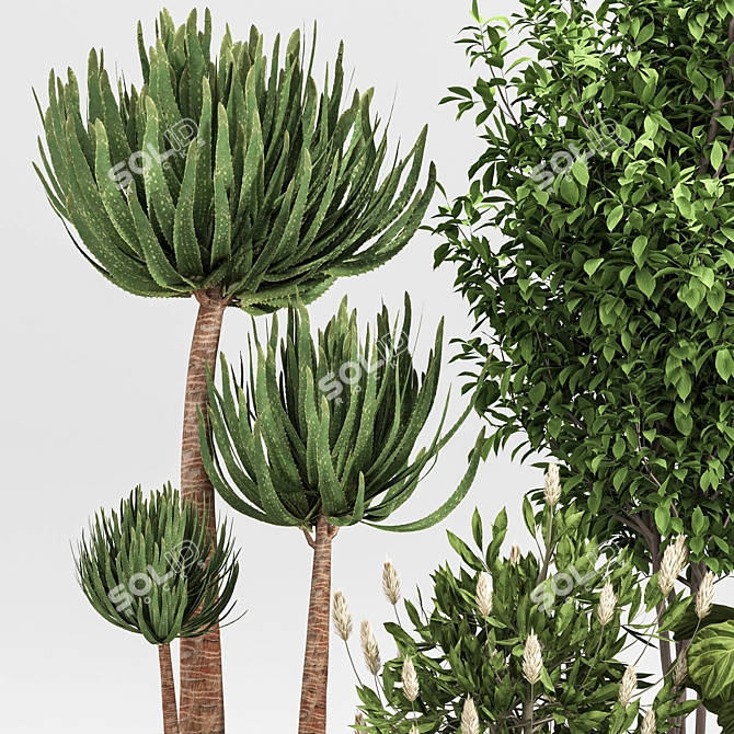 2015 Indoor Plant Set 010 3D model image 6