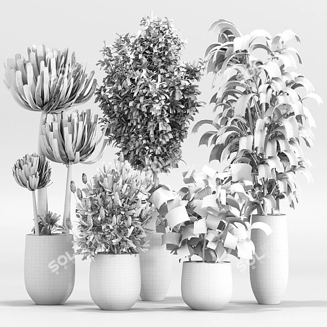 2015 Indoor Plant Set 010 3D model image 7