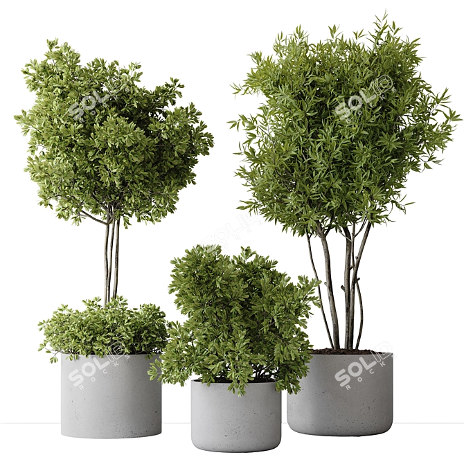 2015 Indoor Plant Set Max 3D model image 1