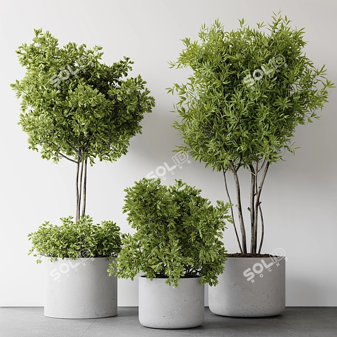 2015 Indoor Plant Set Max 3D model image 2