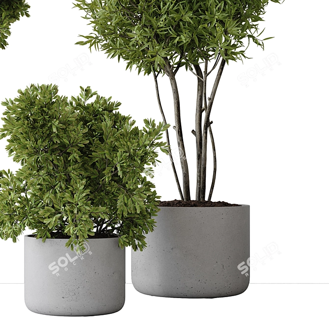 2015 Indoor Plant Set Max 3D model image 6