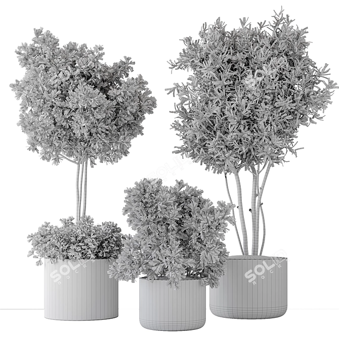 2015 Indoor Plant Set Max 3D model image 7