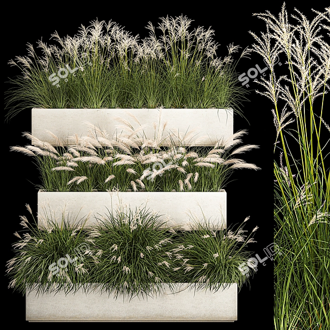 Decorative Grass Collection for Urban Landscaping 3D model image 1