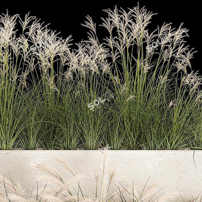 Decorative Grass Collection for Urban Landscaping 3D model image 2