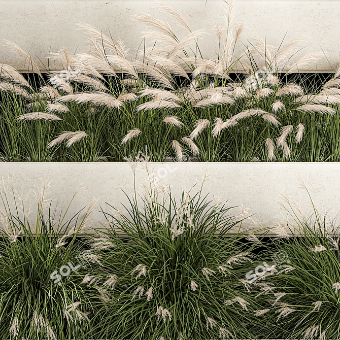 Decorative Grass Collection for Urban Landscaping 3D model image 3