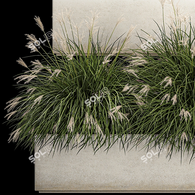 Decorative Grass Collection for Urban Landscaping 3D model image 4