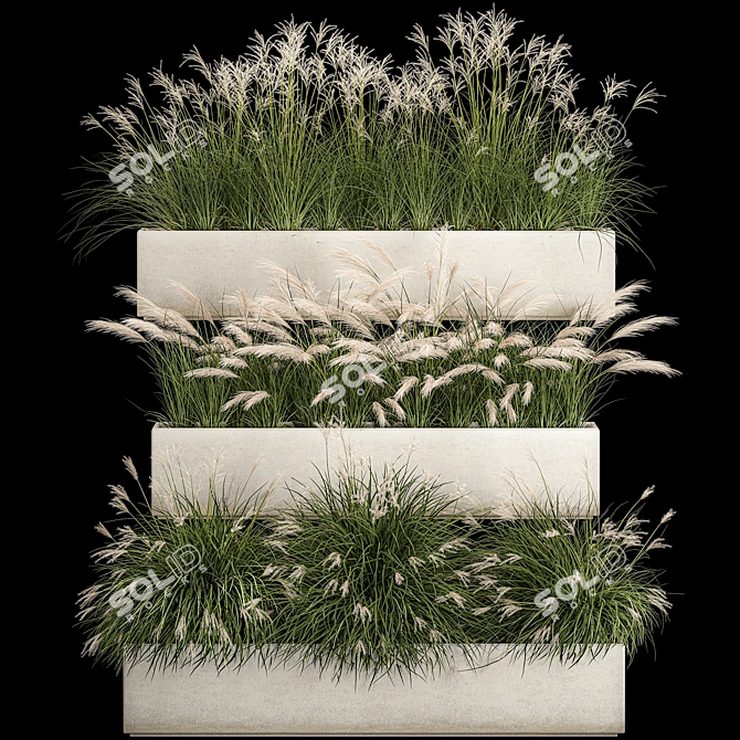 Decorative Grass Collection for Urban Landscaping 3D model image 5