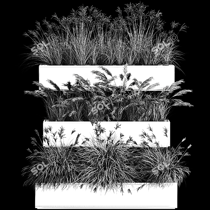 Decorative Grass Collection for Urban Landscaping 3D model image 6