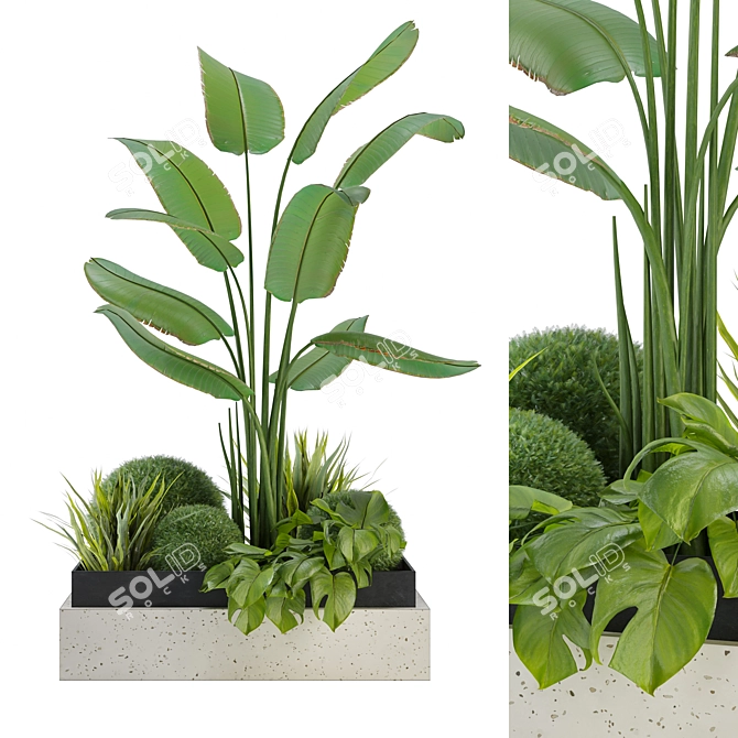 Indoor Botanical Variety Set 3D model image 1