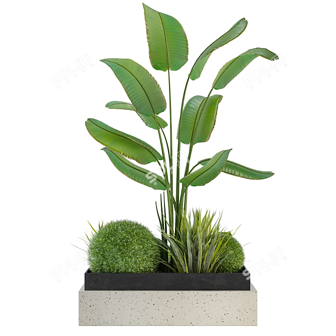 Indoor Botanical Variety Set 3D model image 3