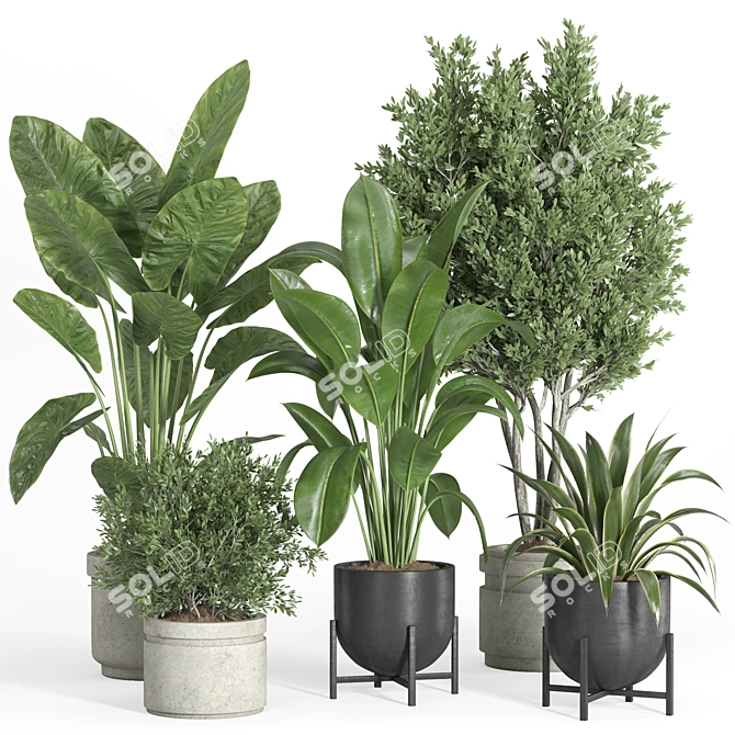 Modern Concrete Metal Indoor Plant 3D model image 1