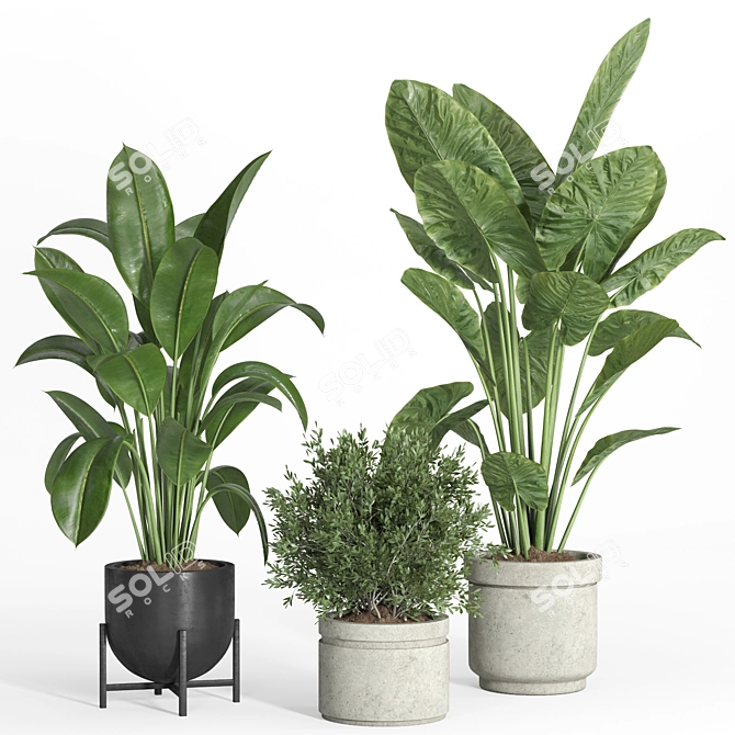 Modern Concrete Metal Indoor Plant 3D model image 2