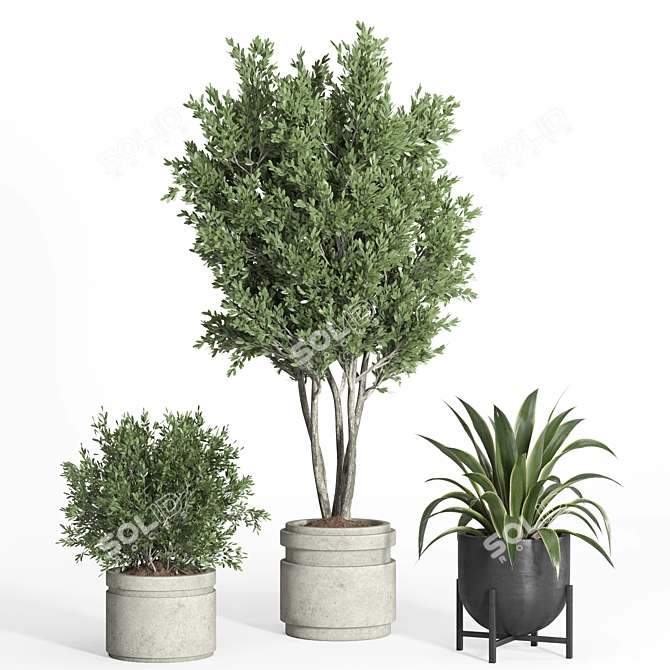 Modern Concrete Metal Indoor Plant 3D model image 3