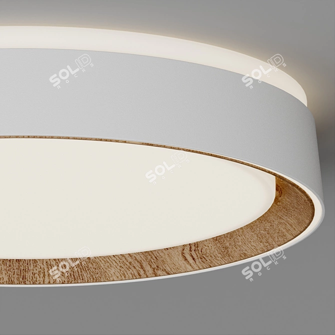 Modern LED Flushmount Lighting Fixture 3D model image 4