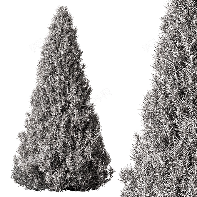 Evergreen Pine Tree Set 123 3D model image 3