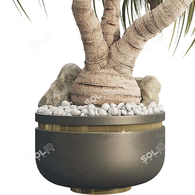 Sculptural Ponytail Palm Tree 3D model image 3