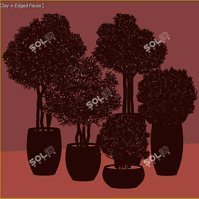  Botanical Collection 3D Models 3D model image 4