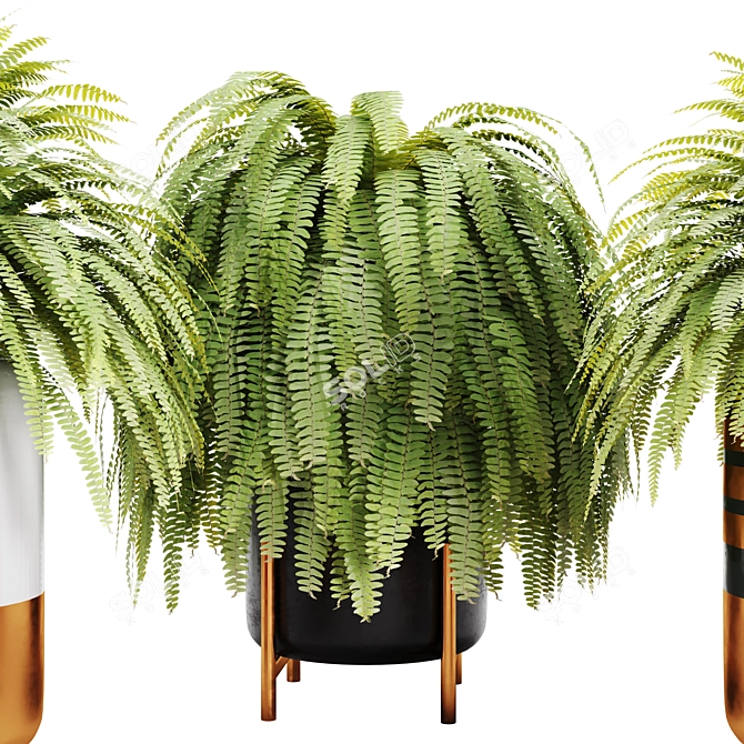 Leafy Green Fern Pot Decor 3D model image 2