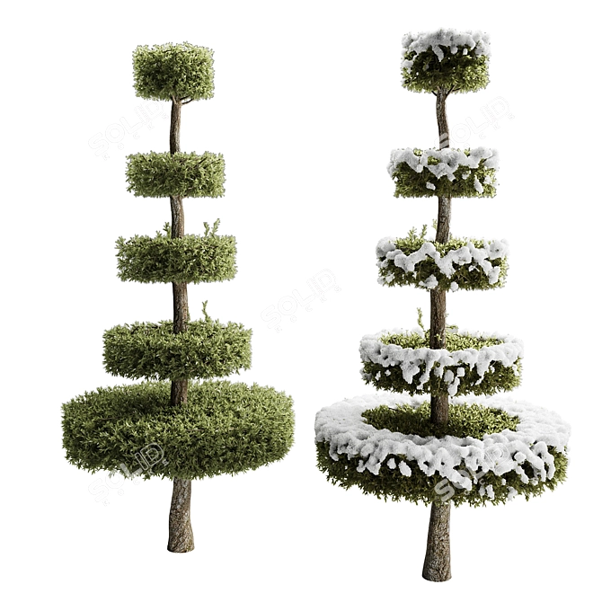 Versatile Circle Bush Set H:210cm 3D model image 1