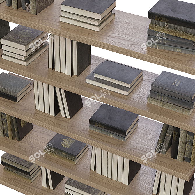 Book Bundle: Literature Collection 3D model image 3