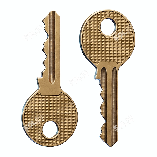 Metallic Key - Genuine Security 3D model image 1