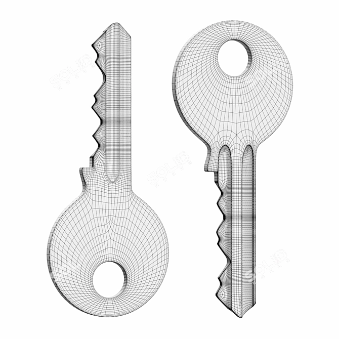 Metallic Key - Genuine Security 3D model image 2