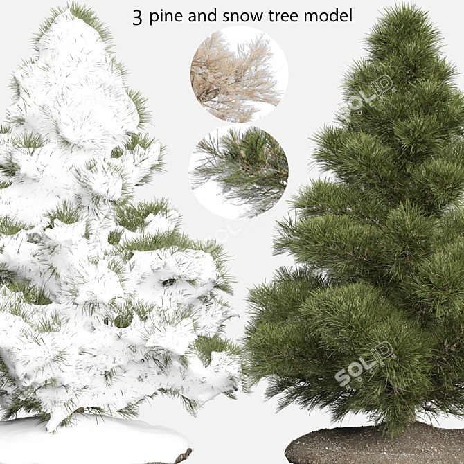 Seasonal Pine Tree 3D Models 3D model image 1